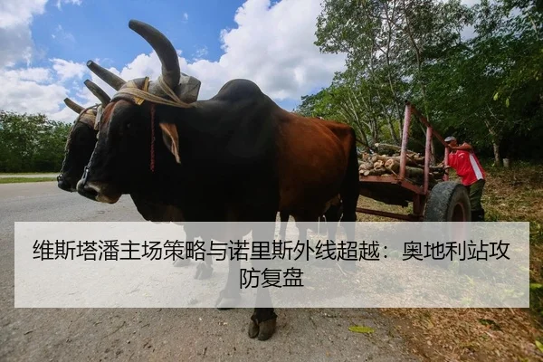 维斯塔潘主场策略与诺里斯外线超越：奥地利站攻防复盘