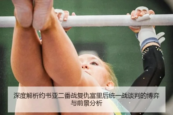 深度解析约书亚二番战复仇富里后统一战谈判的博弈与前景分析